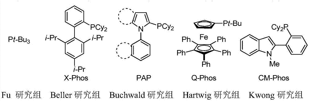 Phosphine ligand for indole skeleton as well as preparation method and application of phosphine ligand
