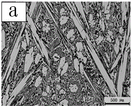 Preparing method for abrasion-resisting steel with oriented growth carbide