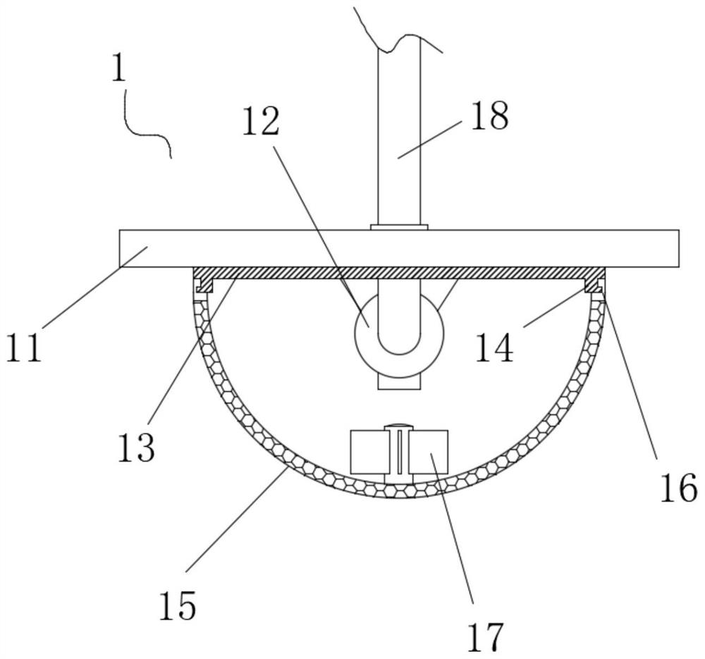 Treatment device and treatment method for receiving ballast water of ocean passenger ship