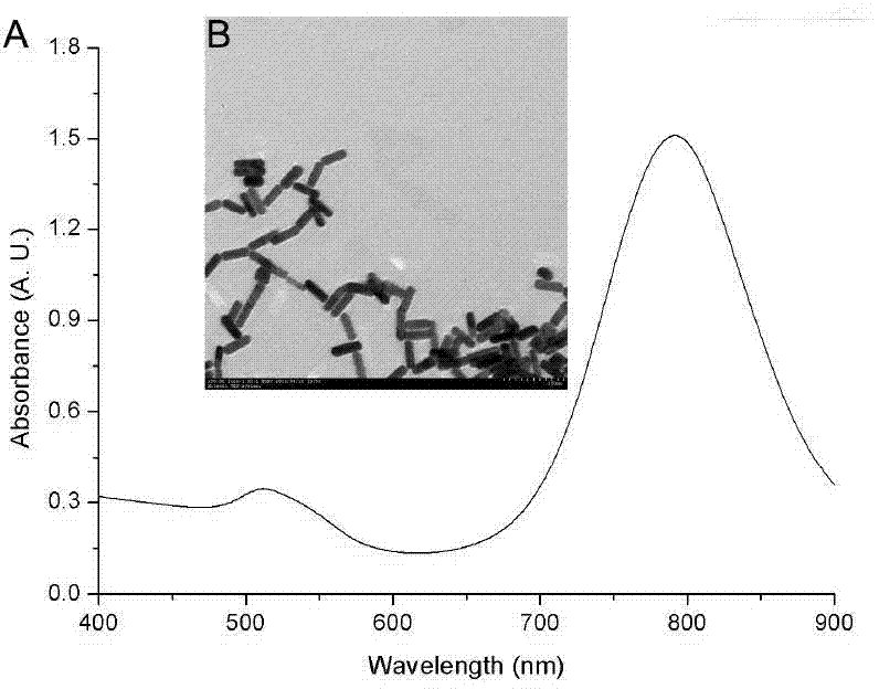 A kind of enzyme catal release drug preparation with double curative effect, its preparation method and application