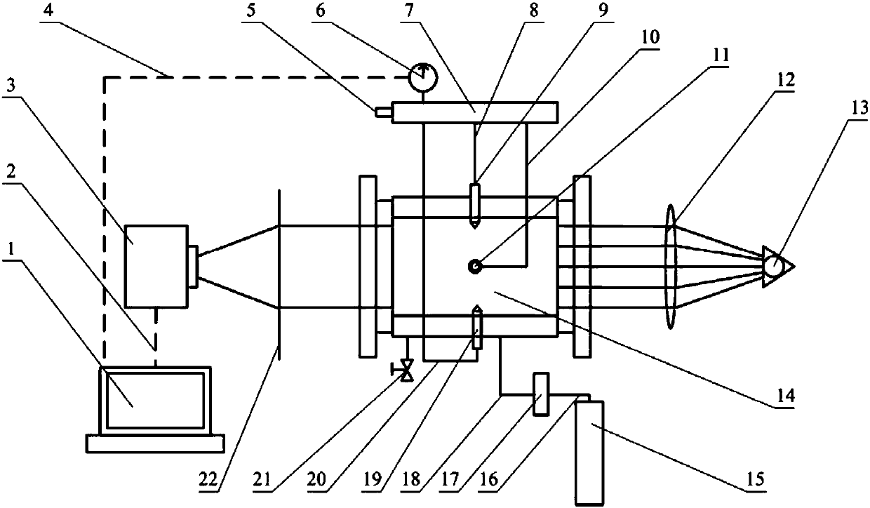 Interference spray test device for opposed piston engine
