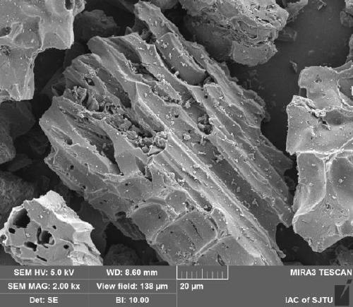 Preparation method of manganese-loaded waste mushroom dreg biomass active carbon for efficiently removing aniline in water body