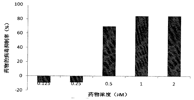 Structure and application of anti-ev71, Japanese encephalitis and influenza virus oligonucleotide targeting csnk2a2