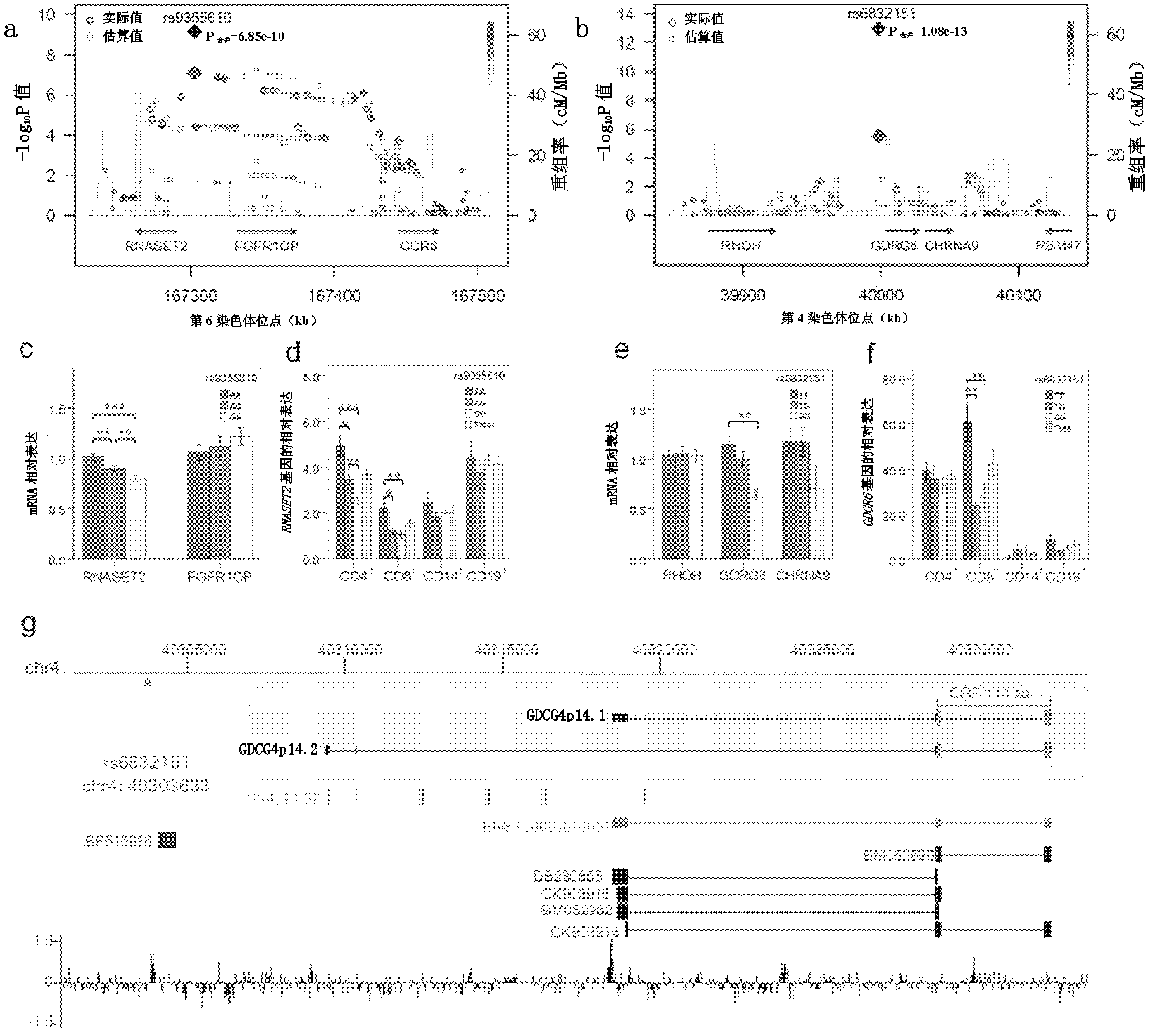 Susceptibility gene of hyperthyroidism disease and application thereof