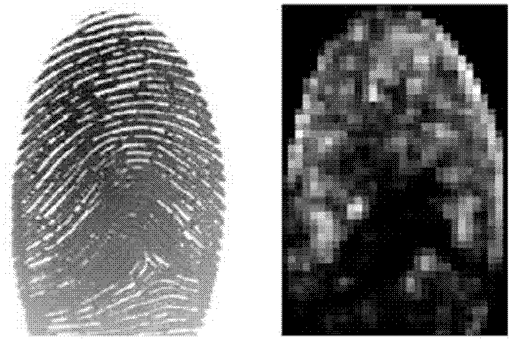 Fingerprint image quality evaluation method based on main component analysis