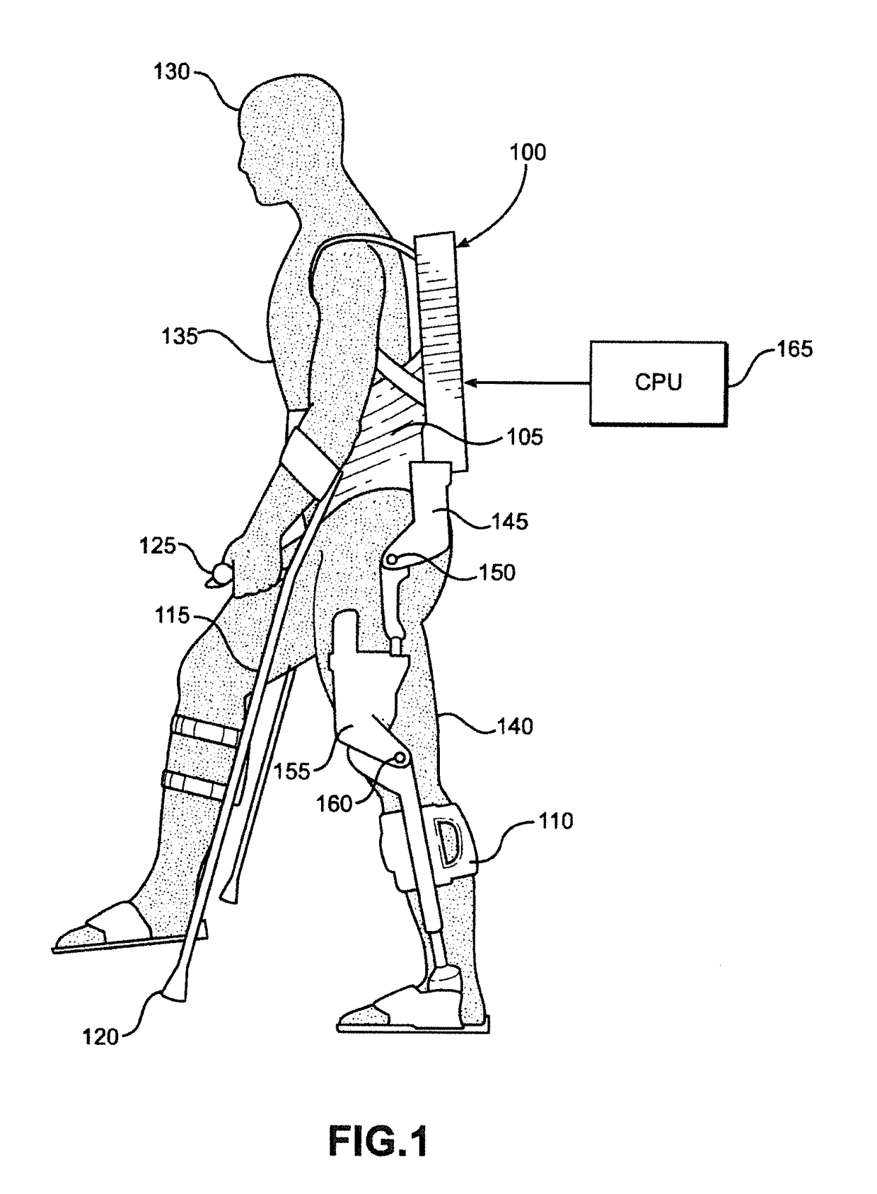 Systems and Methods for Creating Custom-Fit Exoskeletons