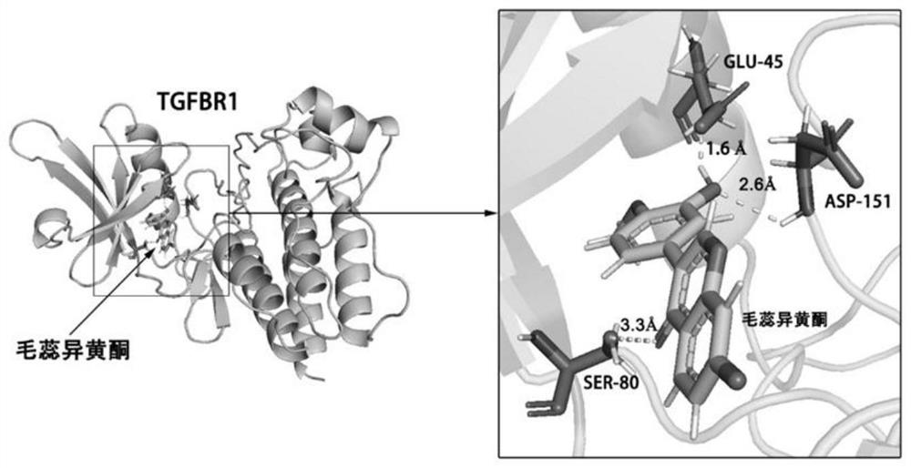 Application of calycosin as TGFBR1 inhibitor and in preparation of medicine for treating ventricular remodeling and myocardial fibrosis