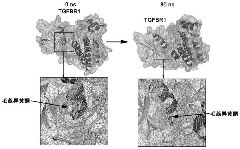 Application of calycosin as TGFBR1 inhibitor and in preparation of medicine for treating ventricular remodeling and myocardial fibrosis