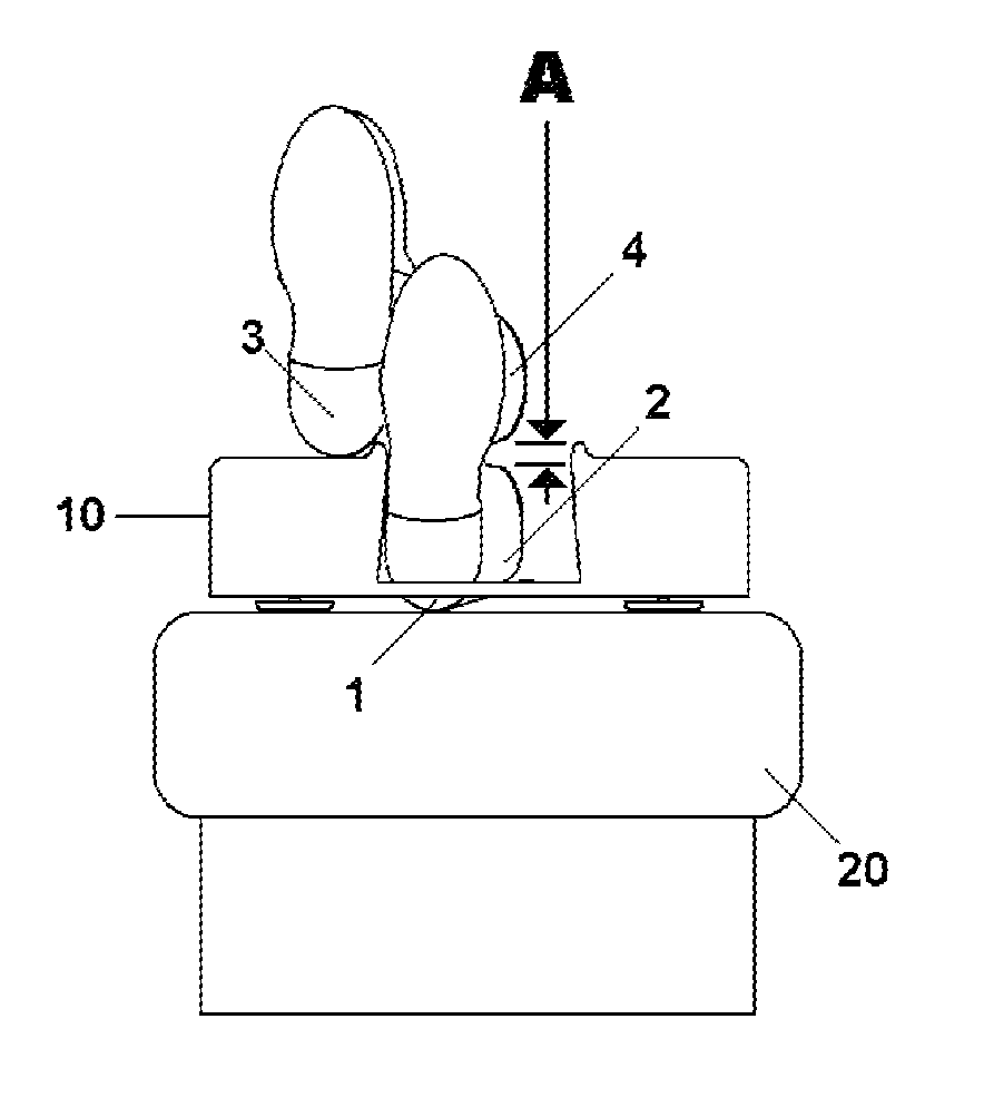 Heel support device for circulation improvement