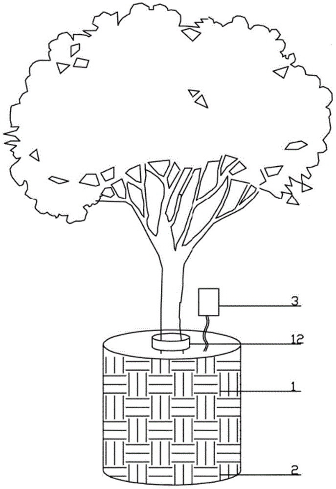 Multifunctional live keeping device for seedling transplantation, and application of multifunctional live keeping device for seedling transplantation