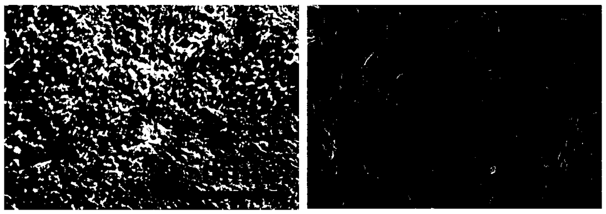 Polyethylene composite antibacterial coating containing nanometer silver particles and preparation method thereof