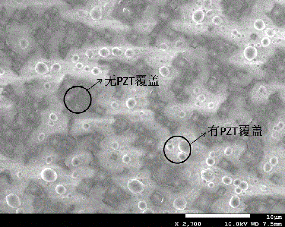 N type silicon solar cell and preparation method therefor