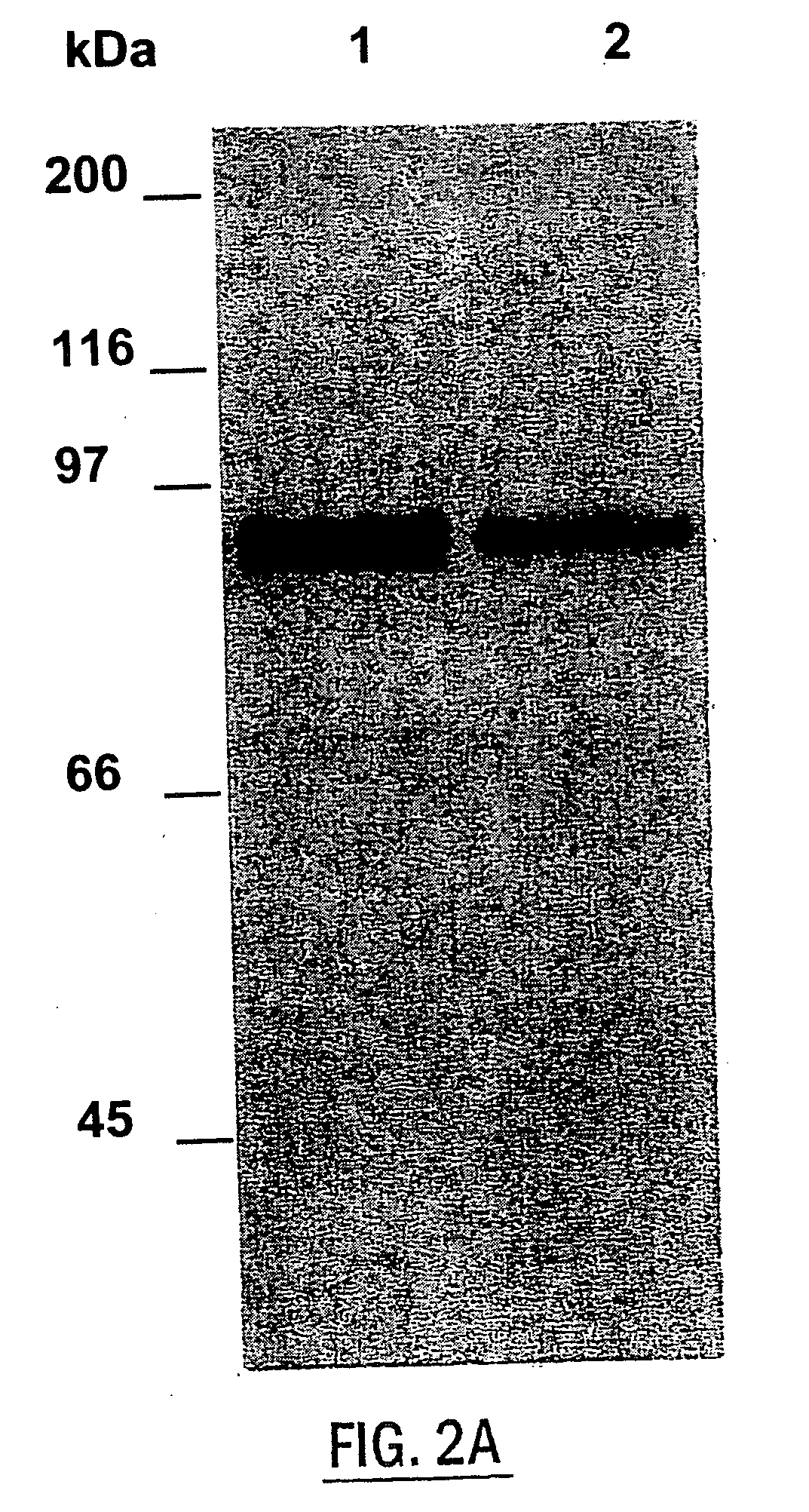 Methods for regulating inflammatory mediators and peptides useful therein
