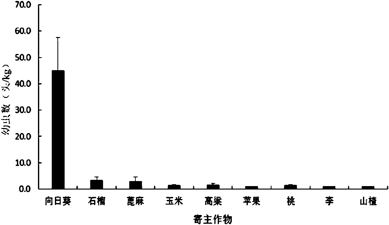 Method for continuously quickly acquiring large quantities of dichocrocis punctiferalis test insects