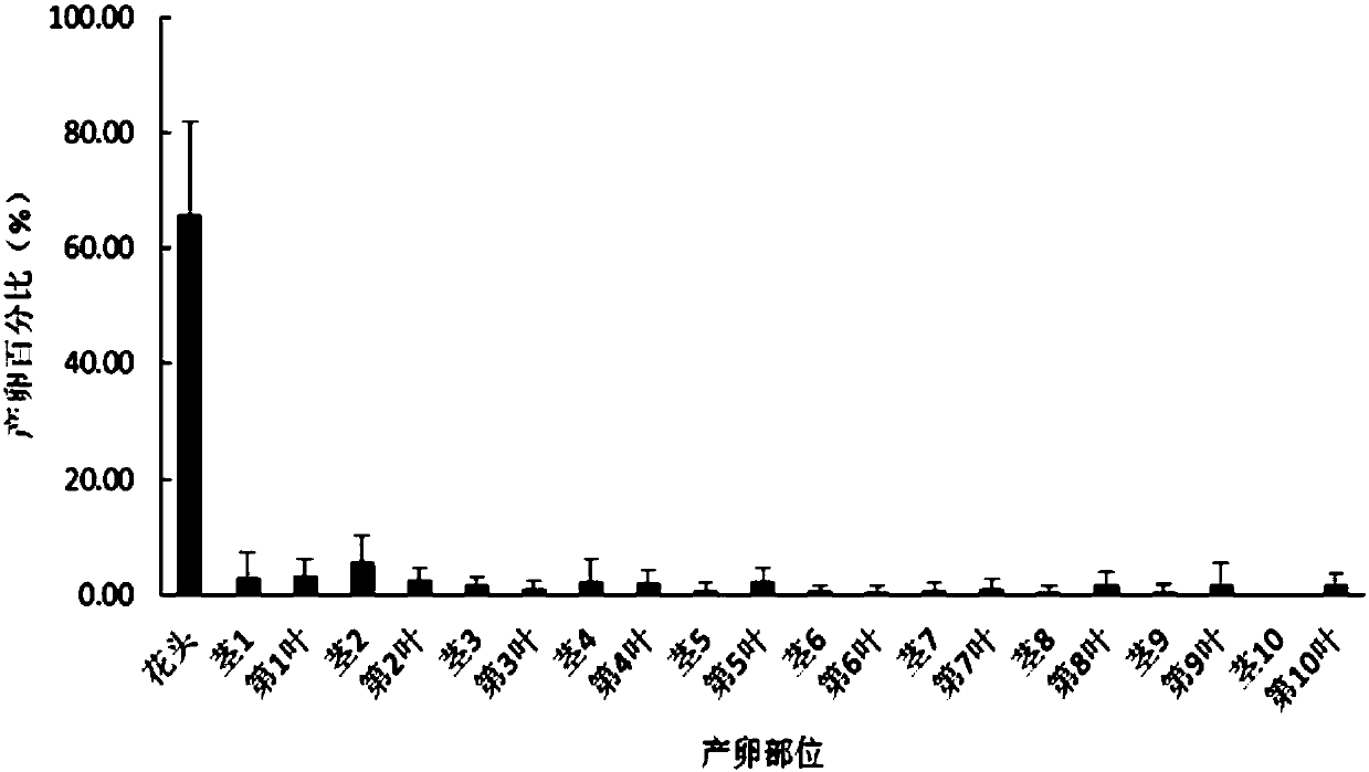 Method for continuously quickly acquiring large quantities of dichocrocis punctiferalis test insects