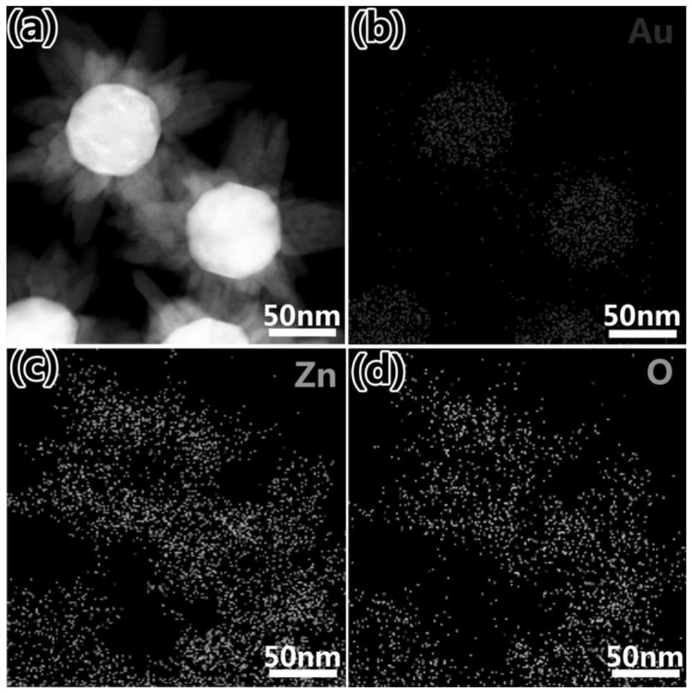 A gold-zinc oxide heterojunction nanoparticle array and its preparation method