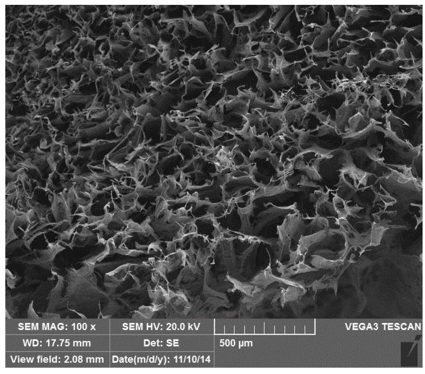 Preparation method of micro-nanofiber/ceramic matrix composite