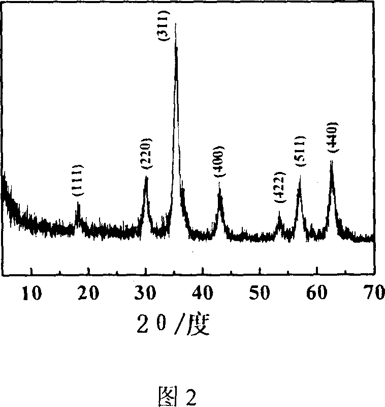 Prepn process of nanometer spinel type ferrite powder