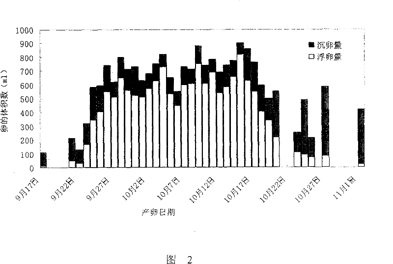 Technological method for temperature and light control of cynoglossus semilaevis Gunther parent fish spawning