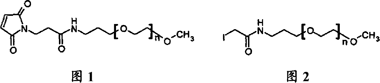 Oxyntomodulin peptide analogue