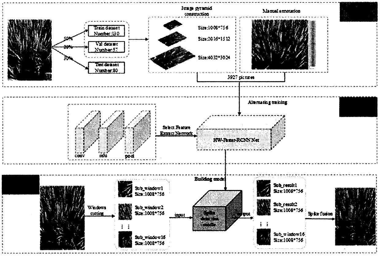Method for quickly counting rice ear number of field rice by using image pyramid and Fast-RCNN