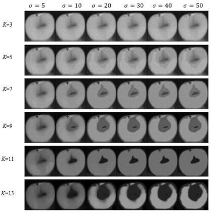 Damaged fruit temperature field detection method based on LOG algorithm