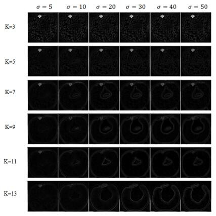 Damaged fruit temperature field detection method based on LOG algorithm