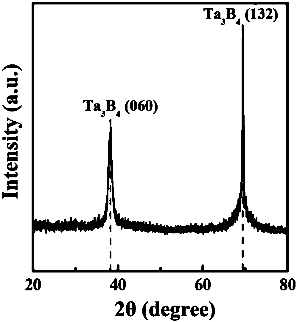 Tantalum boride bio-coating, and production method and application thereof