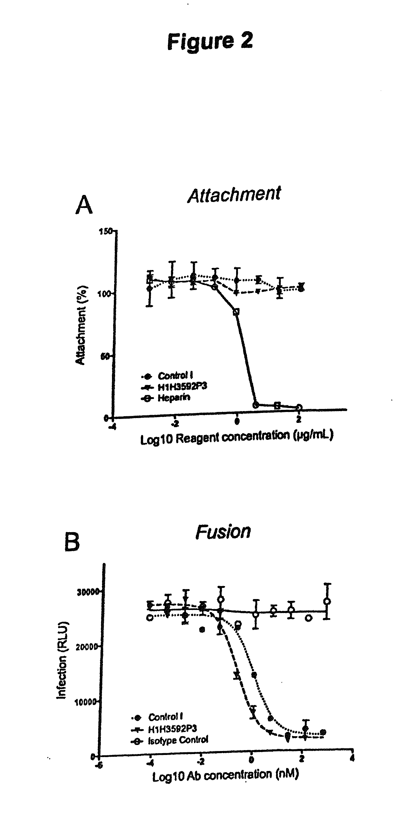 Human antibodies to respiratory syncytial virus f protein and methods of use thereof