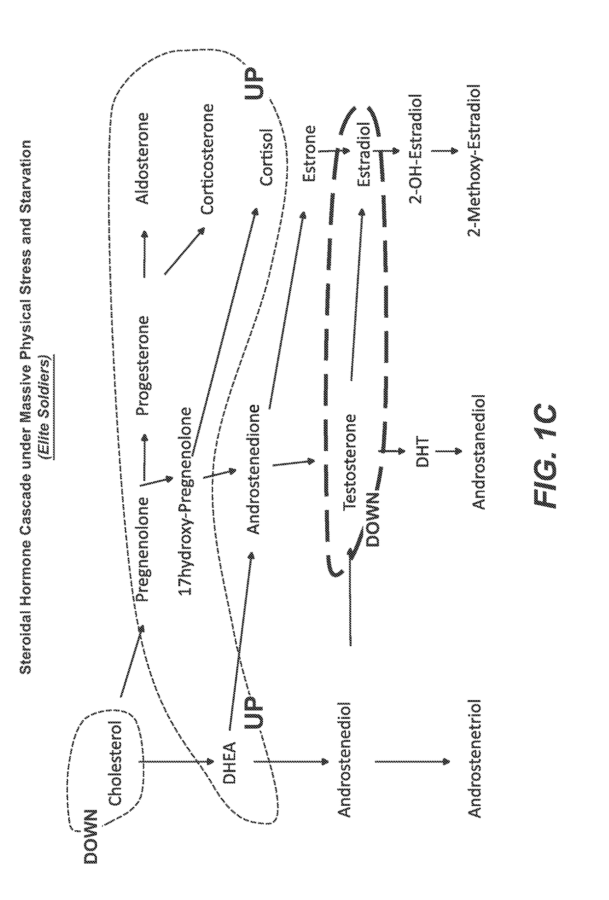 Compositions and methods to regulate hormonal cascades in stress disorders