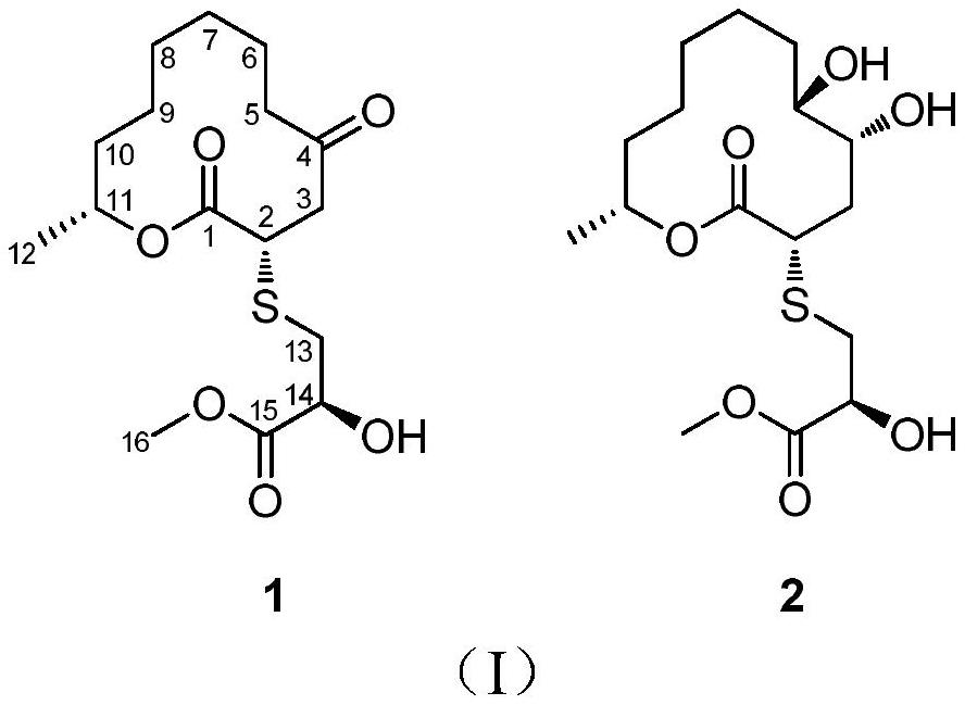 A kind of thiomacrolide compound and its preparation method and anti-aquaculture disease fungus activity application