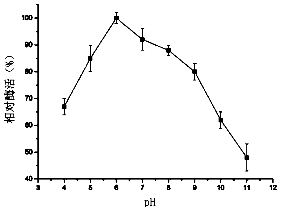Lysozyme derived from phases and gene and application of lysozyme