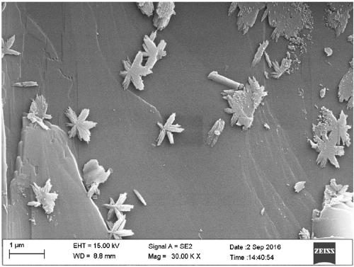 Method for preparing saponite crystals under hydrothermal conditions