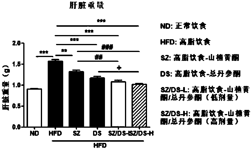 Pharmaceutical composition for treating and preventing obesity and non-alcoholic fatty liver disease