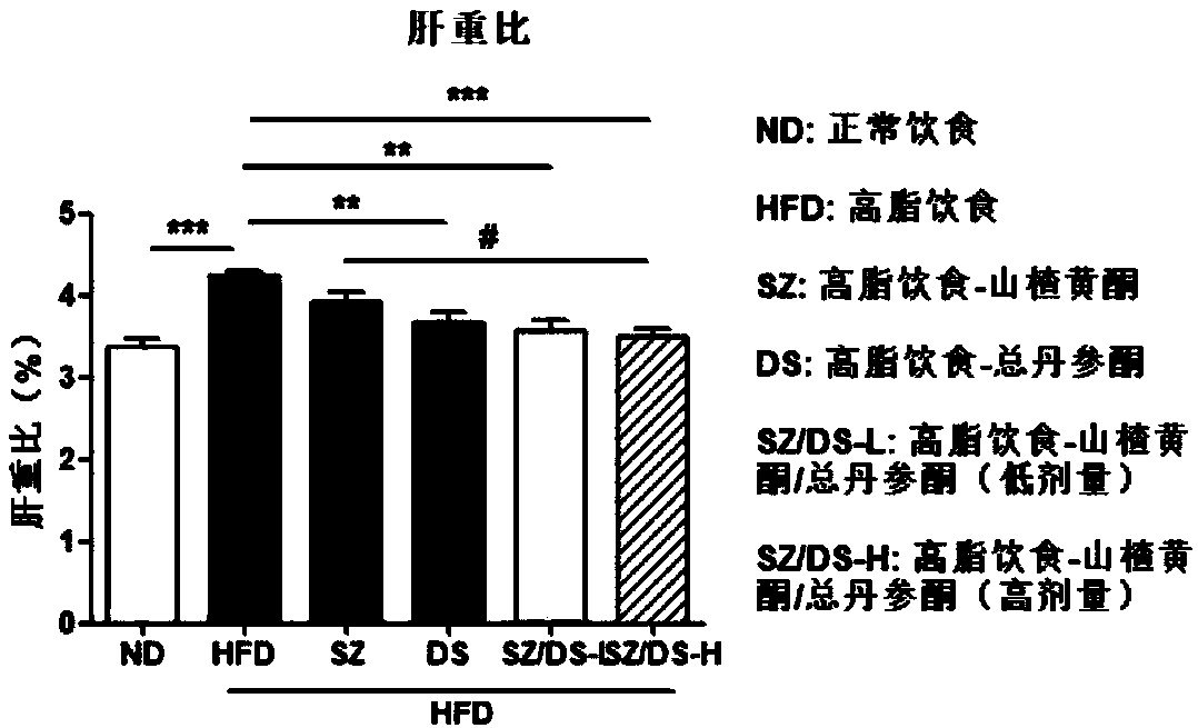 Pharmaceutical composition for treating and preventing obesity and non-alcoholic fatty liver disease