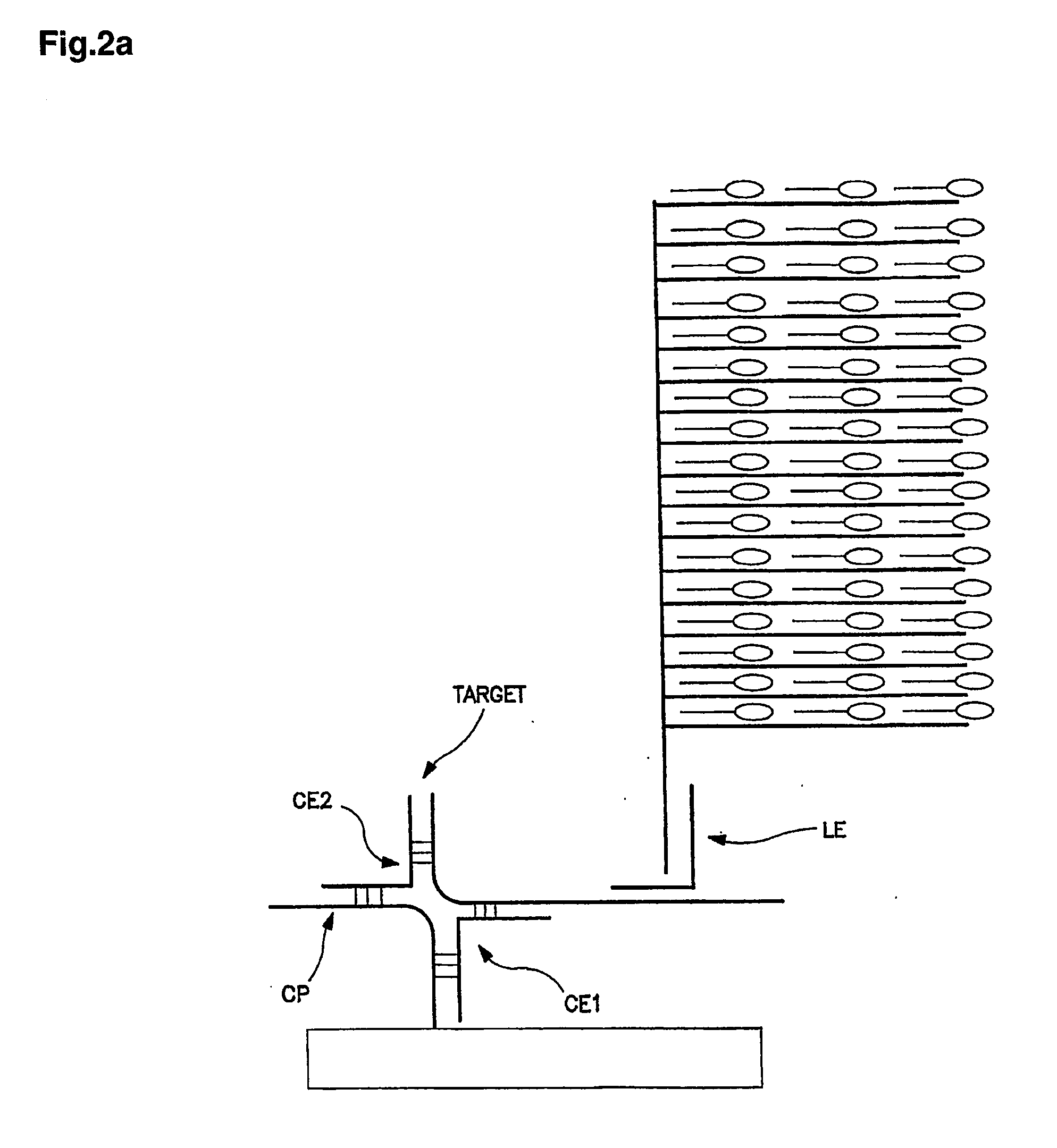 Method and a kit for determination of a microbial count