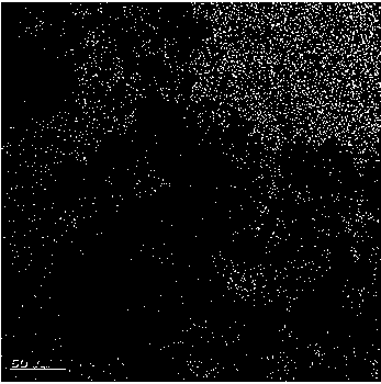 Method for quickly synthesizing load type metal nano-particle