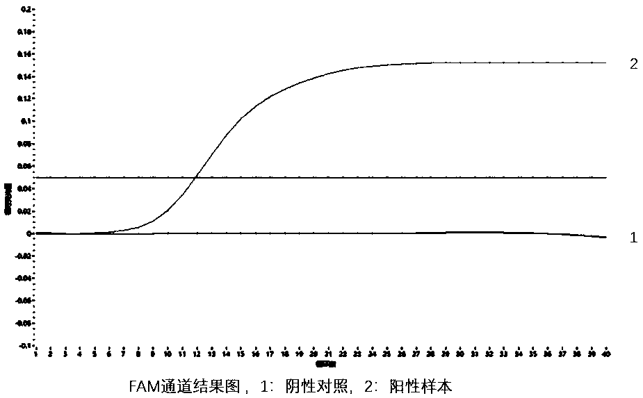 RDA (Recombinase-dependent amplification) method and kit for quickly detecting Coxsachie virus 16 and enterovirus 71