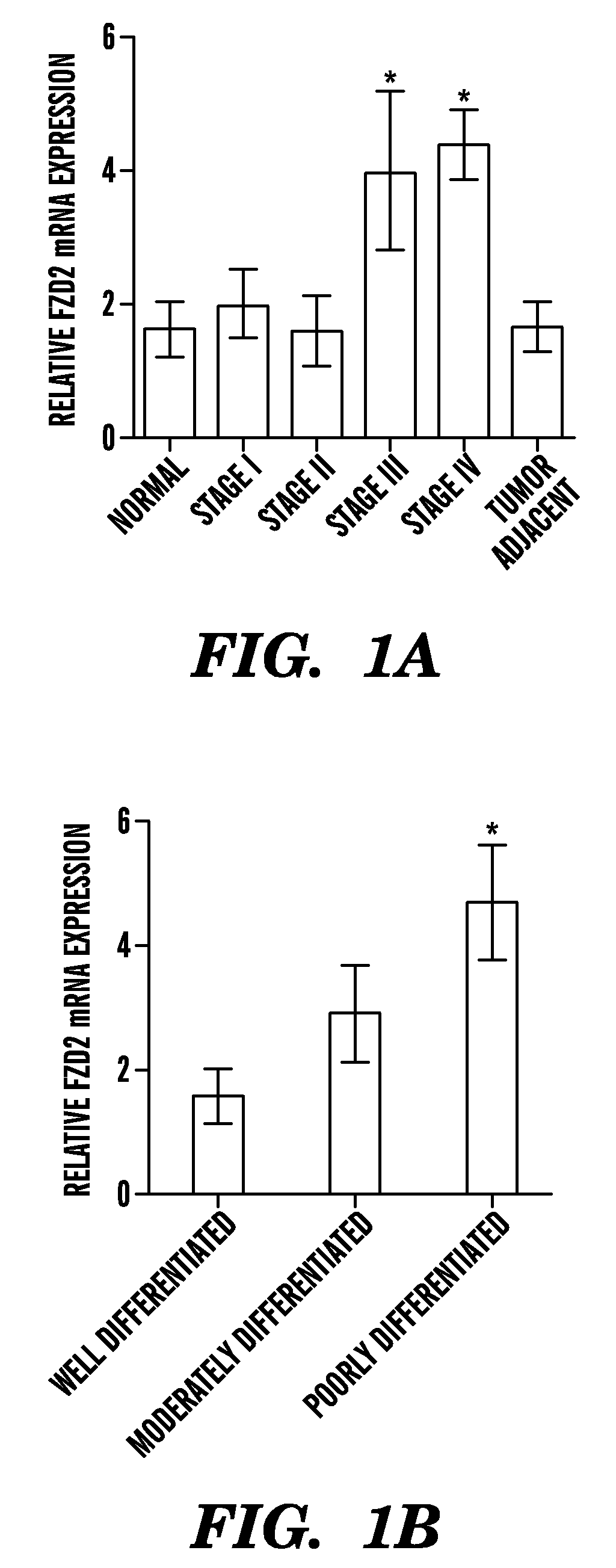 Frizzled 2 as a target for therapeutic antibodies in the treatment of cancer