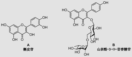 Method for preparing quercitrin and kaempferol-3-O-rutinoside from Chinese redbud leaf extract