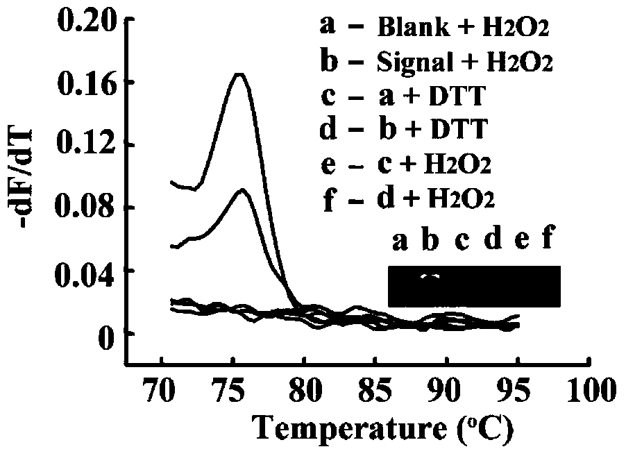Method for eliminating dtt interference when hydrogen peroxide eliminates nucleic acid constant temperature amplification and detects mercury ions
