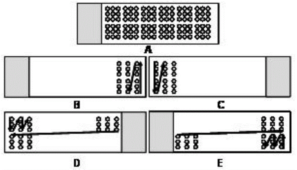 Antibody microarray kit and method for detecting residue of aminoglycoside antibiotics in food