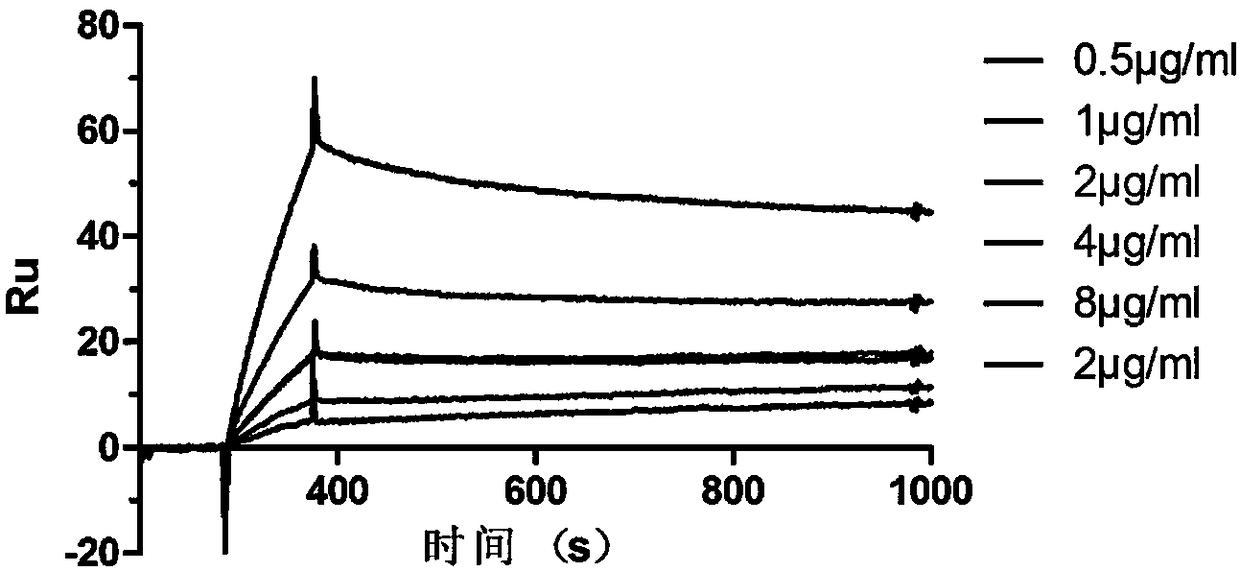 Tetanus toxin-resistant neutralizing antibody as well as preparation and application thereof