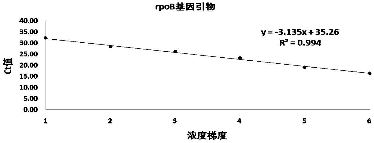 Fluorescent quantitative PCR method for detecting toxin-producing neisseria meningitidis and corresponding kit