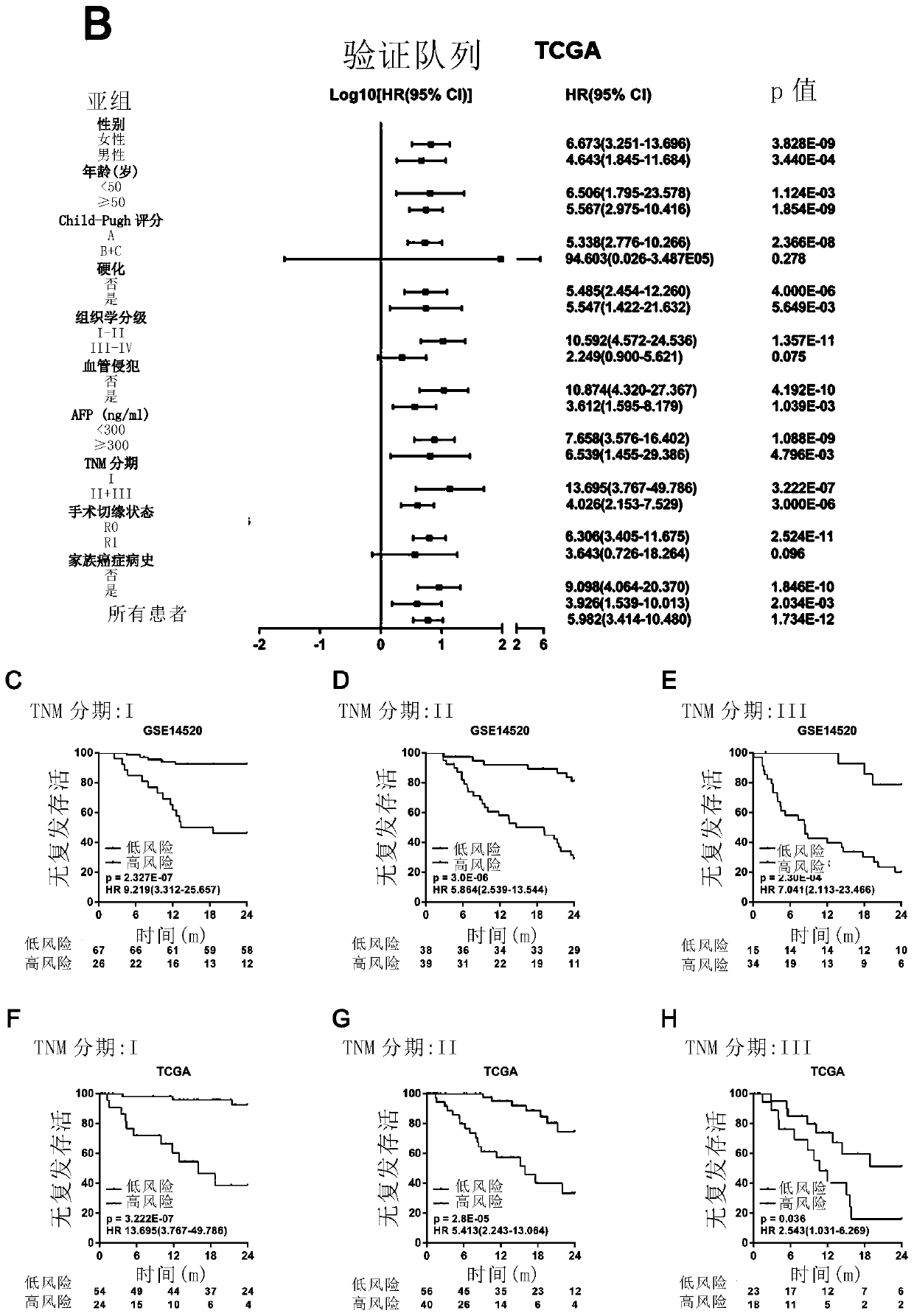 Construction and application evaluation of molecular model for predicting postoperative early recurrence risk of liver cancer