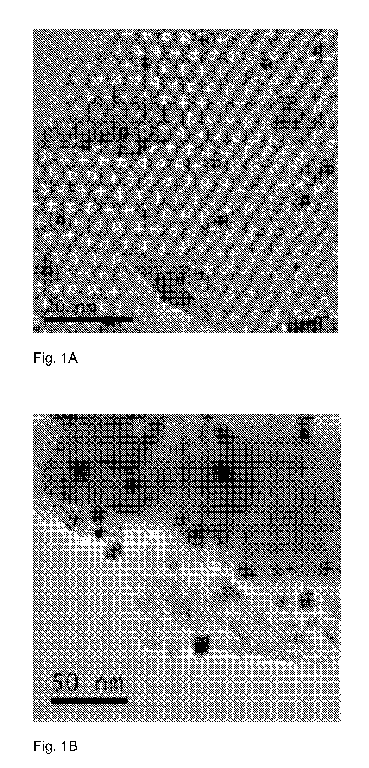 Catalyst, Method for Manufacturing the Same by Supercritical Fluid and Method for Hydrogenating an Aromatic Compound by Using the Same