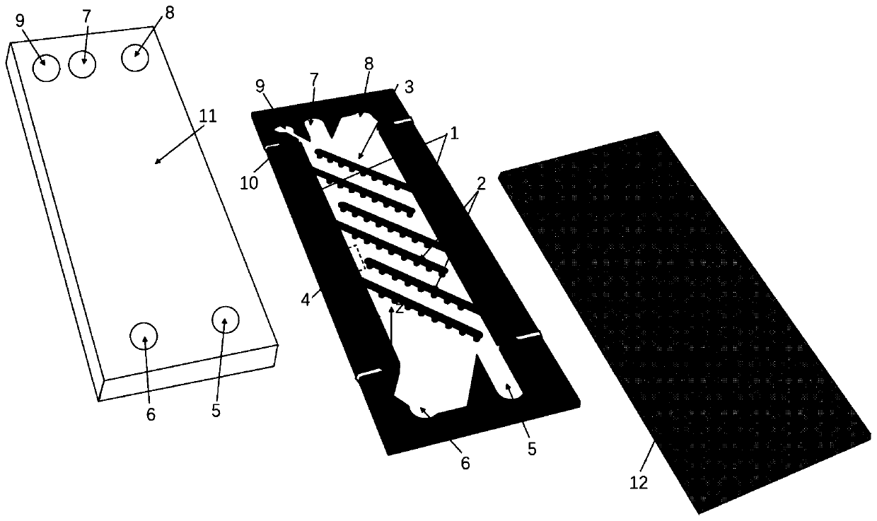Slide rail type dielectrophoresis electrode structure for high-throughput continuous flow cell separation
