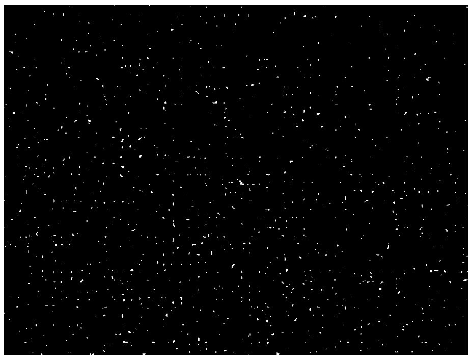 Method for detecting internal defects of zirconium oxide double-layer all-ceramic repair body decorative ceramic