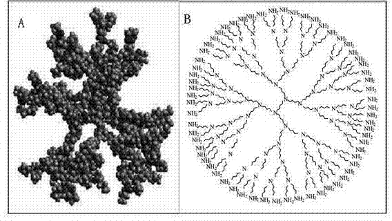 Method for magnetically separating yersinia enterocolitica (YE)