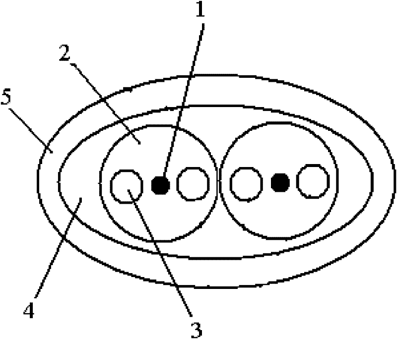 Double waveguide parallel polarization maintaining fiber and manufacturing method thereof